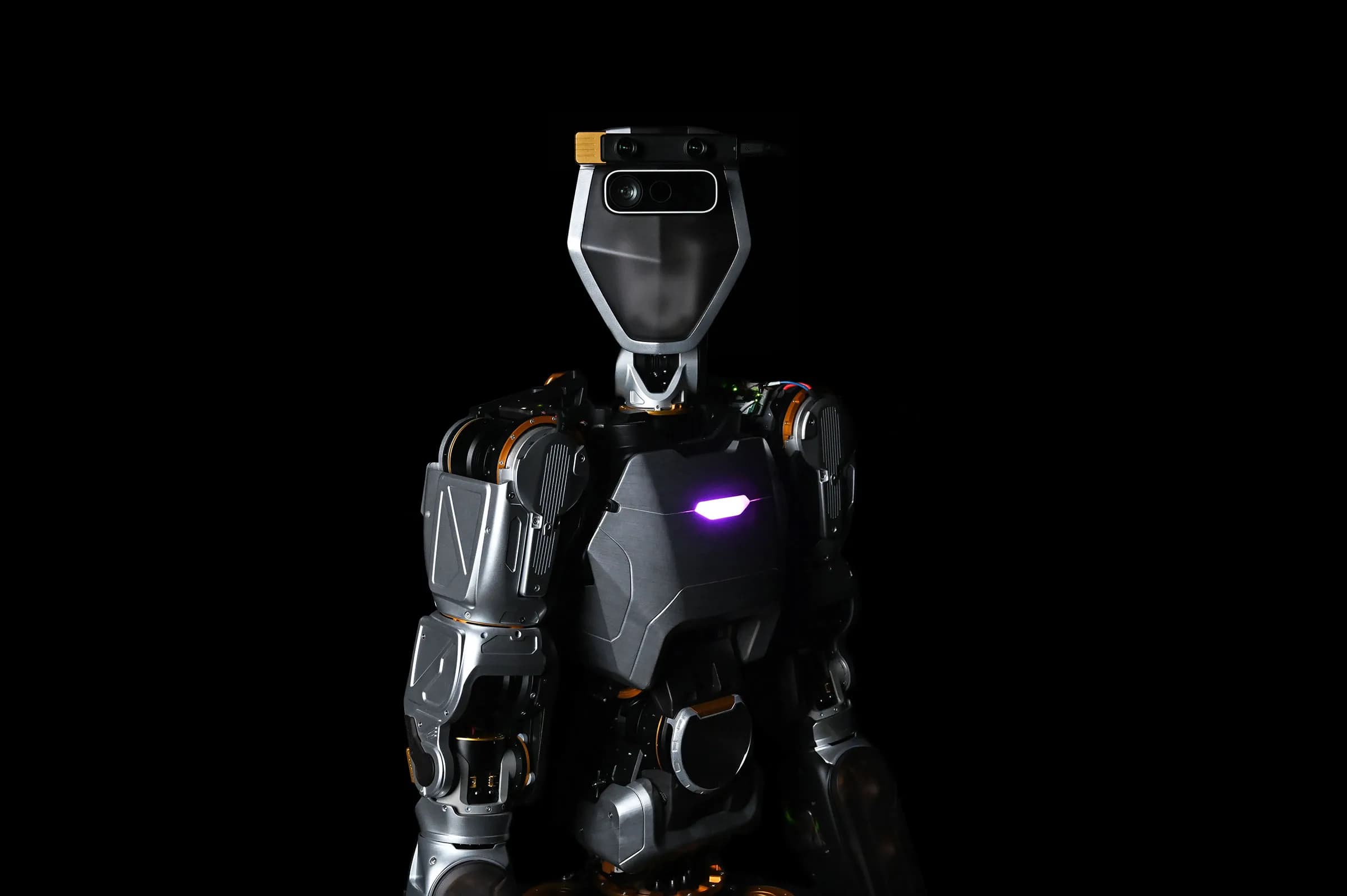 Phoenix Humanoid Robot