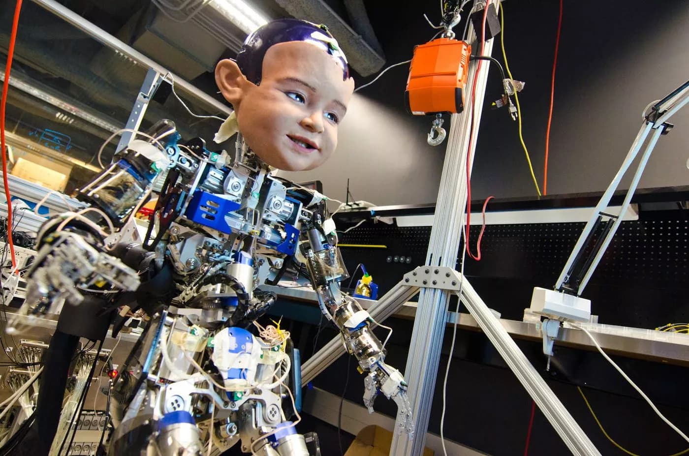 Diego-san Humanoid Robot
