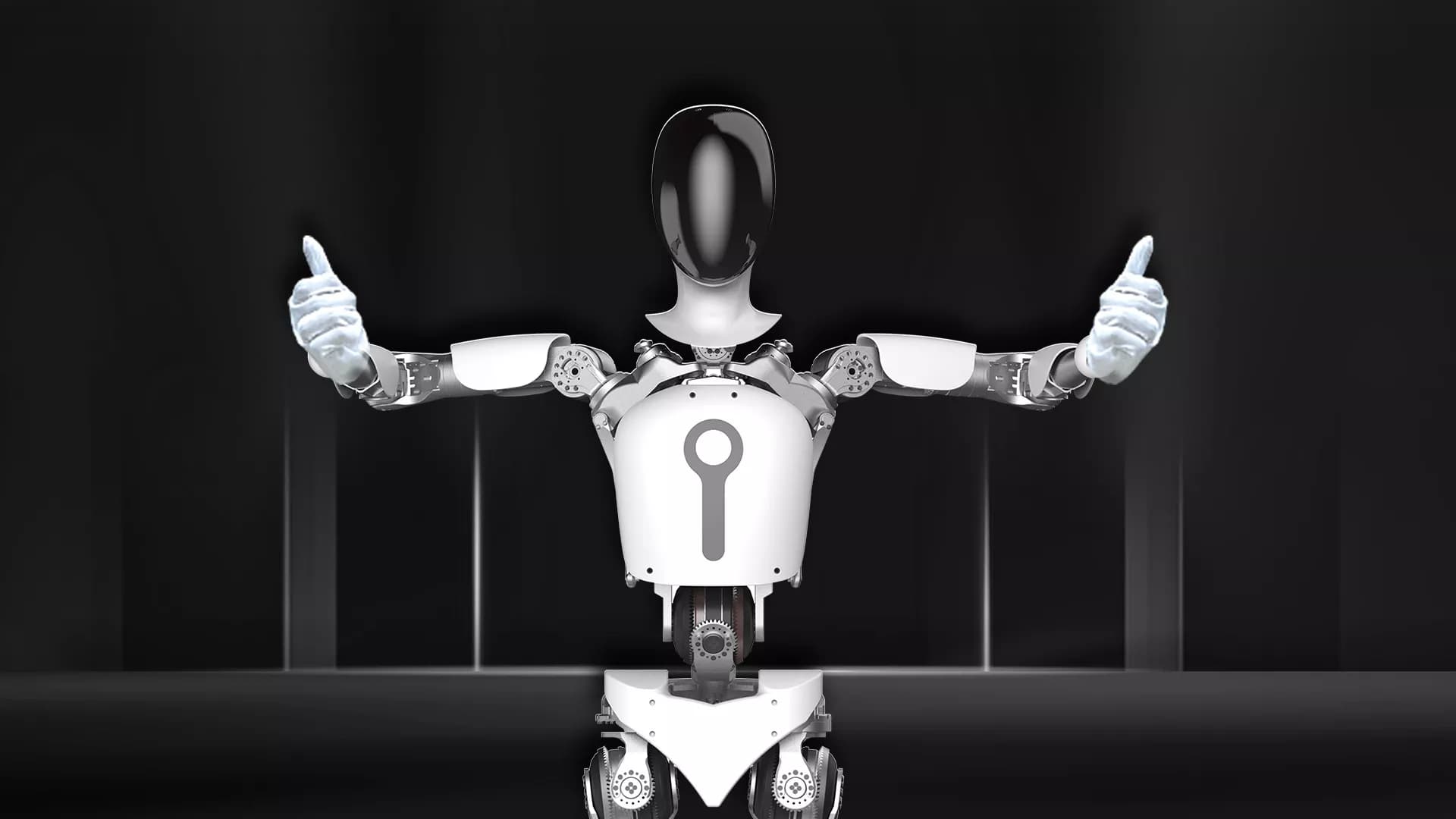 TLIBOT (T1) Humanoid Robot