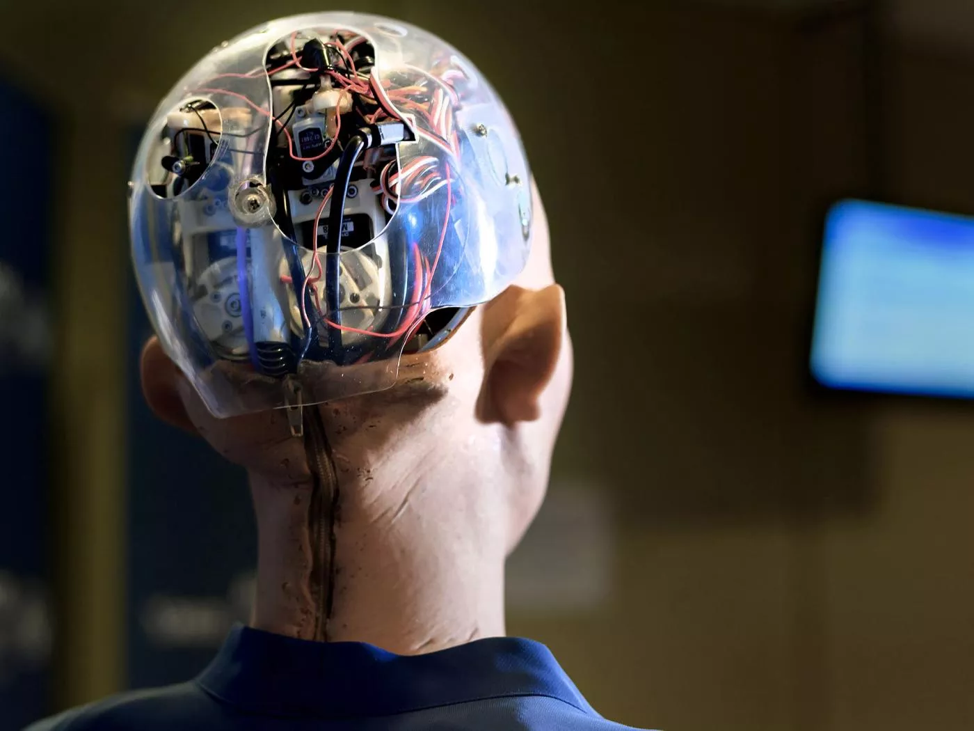 image of Sophia Humanoid Robot