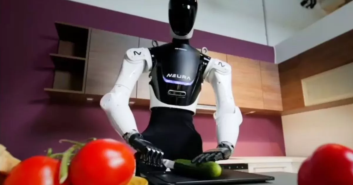 image of 4NE-1 Humanoid Robot