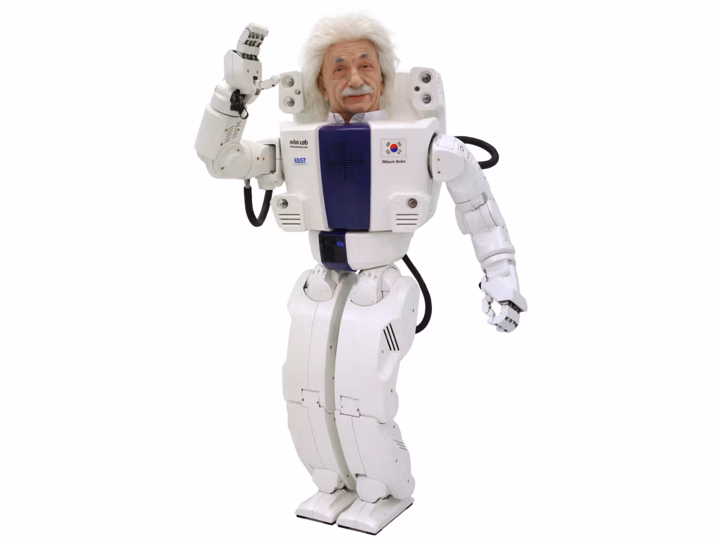 image of Albert HUBO Humanoid Robot