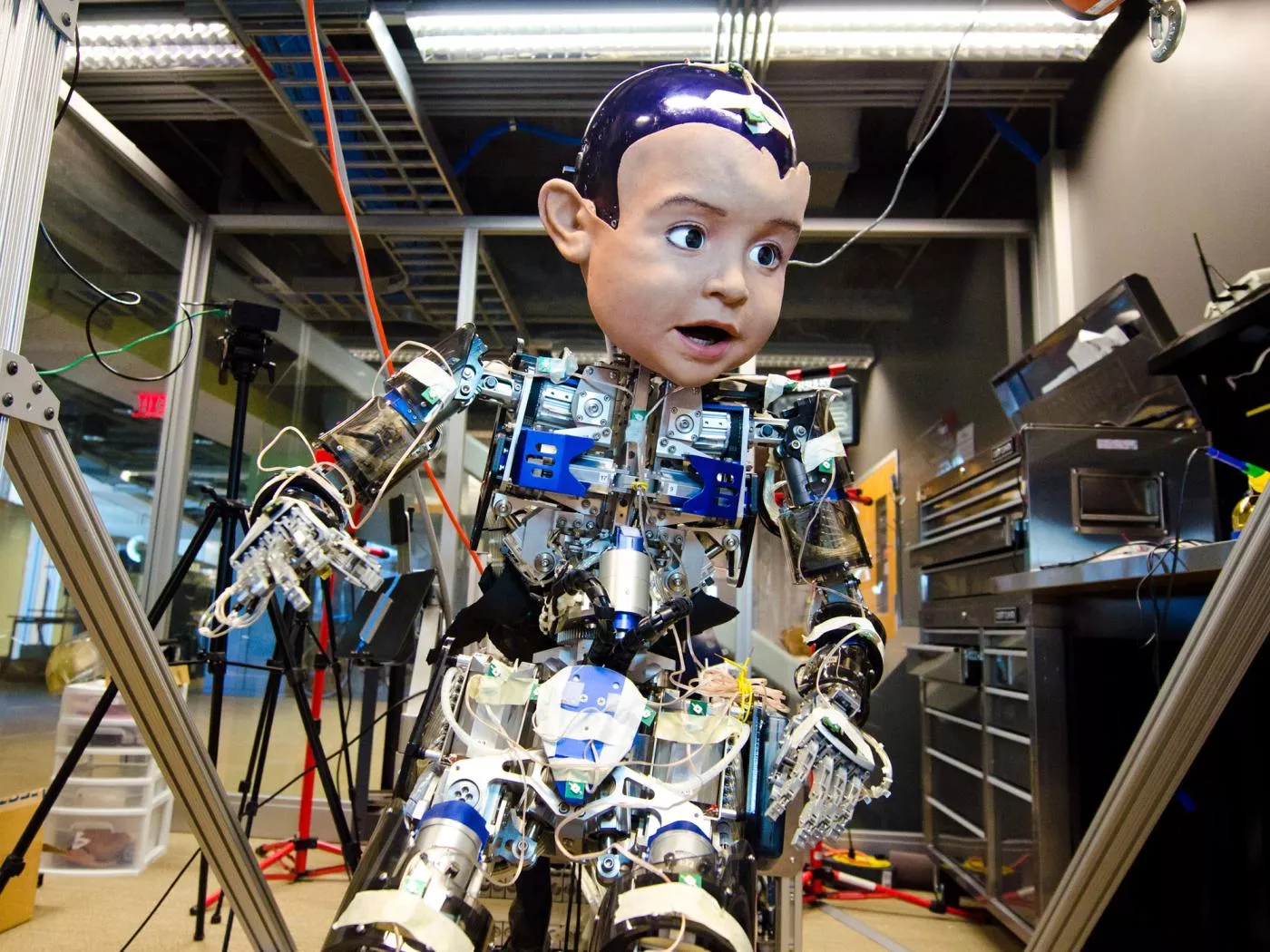 image of Diego-san Humanoid Robot