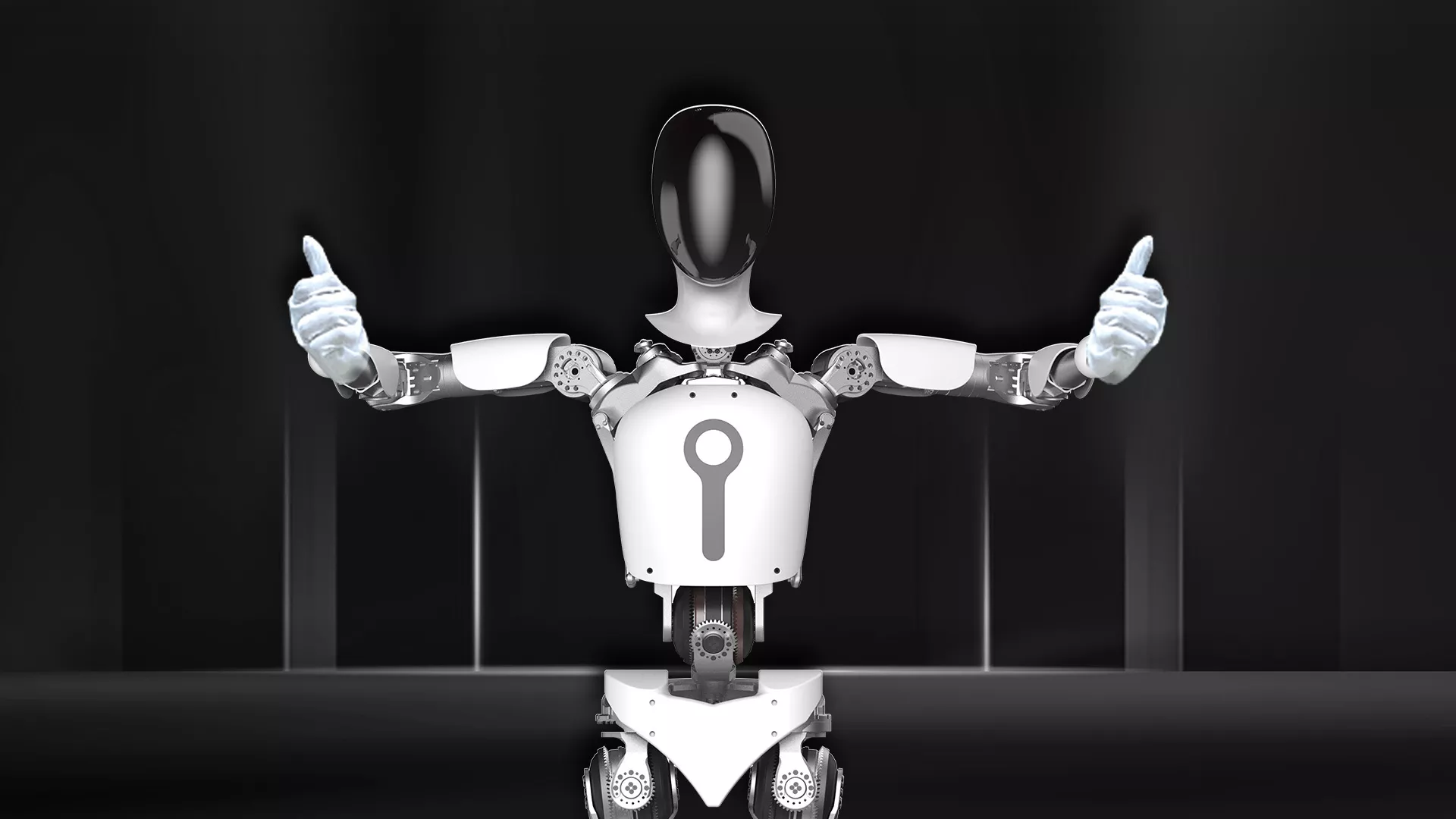 image of TLIBOT (T1) Humanoid Robot